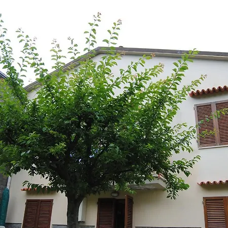 Appartamento Il Susino Tirrenia